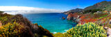 Summer in the Big Sur