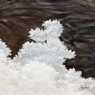Ice crystals formed into a shape of a mouse after an overnight frost on water in Yosemite.﻿