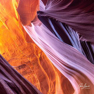 Winter light illuminates the pink, purple, orange and gold patterns on the canyon wall in ﻿Lower Antelope Canyon on Navajo Land.
