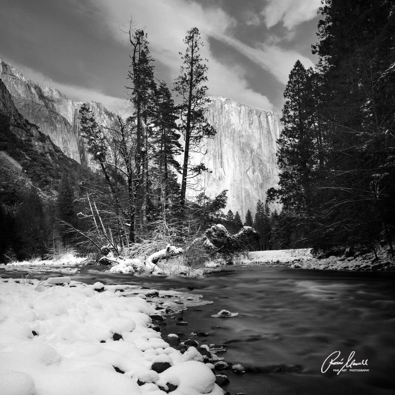 Contrast between the snow and dark trees in winter at Valley View in Yosemite after a snowstorm.