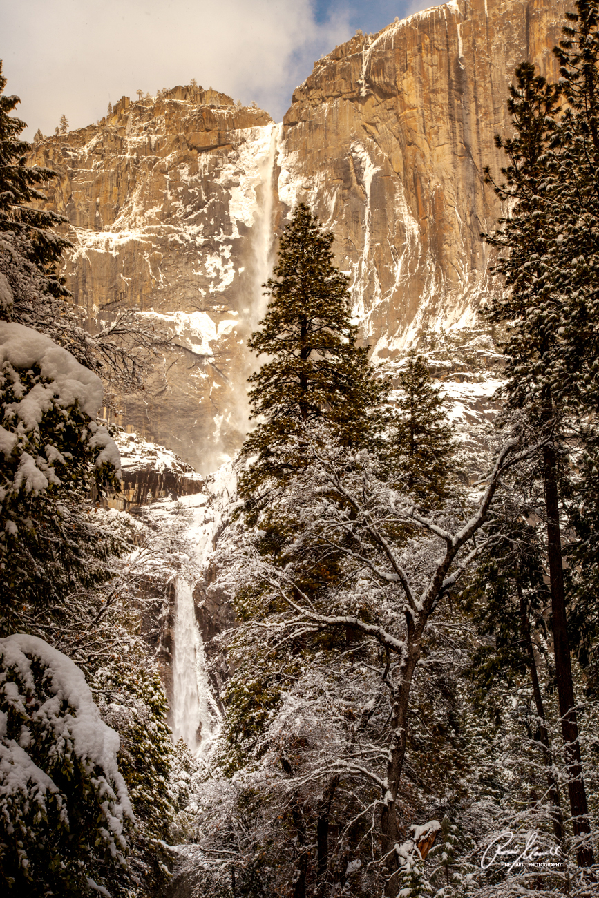 A late afternoon light hits the Yosemite Falls in winter creating a monochromatic look to the scenery.