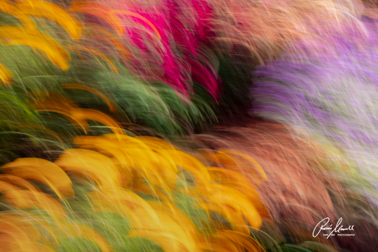 Waves of spring color palette of flowers including California Poppies in this  artistic impression.

Fine Art Open Edition