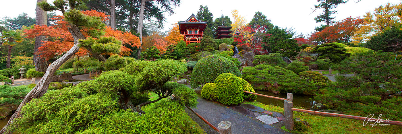A rare autumn color panoramic image of the Japanese Tea Garden in San Francisco, CA as seen in National Geographic publication...